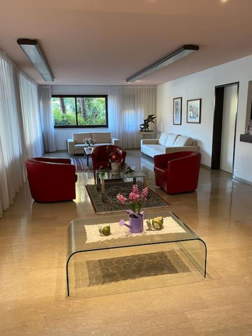 Ascona: Residenza Sabrina,App 2.5 Locali E Piscina Apartment Ngoại thất bức ảnh